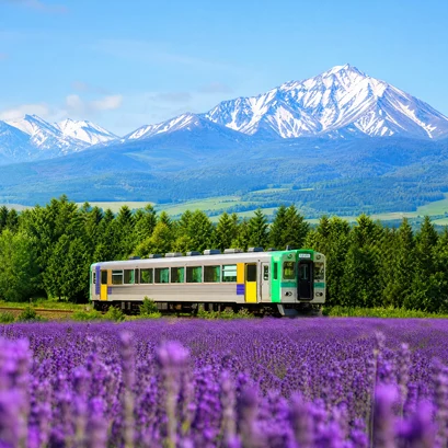 北海道 JR PASS
